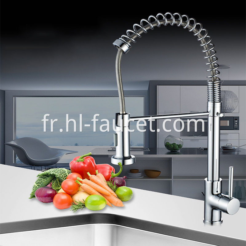 Kitchen Faucet With Spring Sprayer